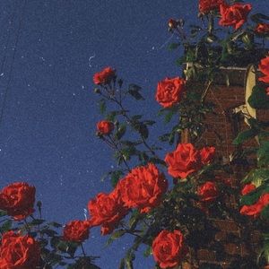 Meet your Posher, Maryan